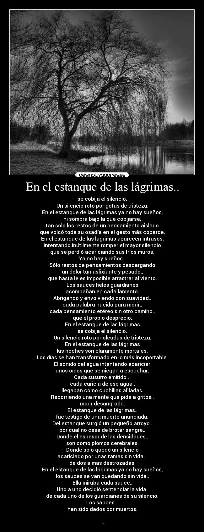 En el estanque de las lágrimas.. -