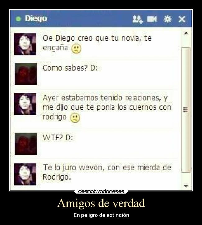 Amigos de verdad - En peligro de extinción