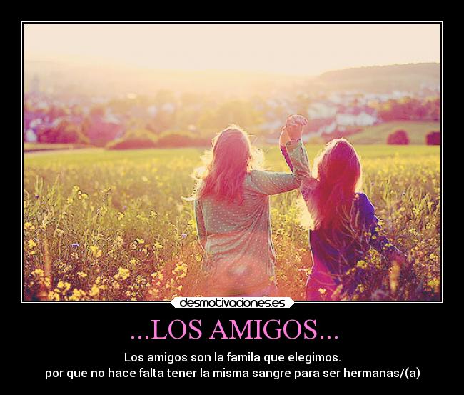...LOS AMIGOS... -