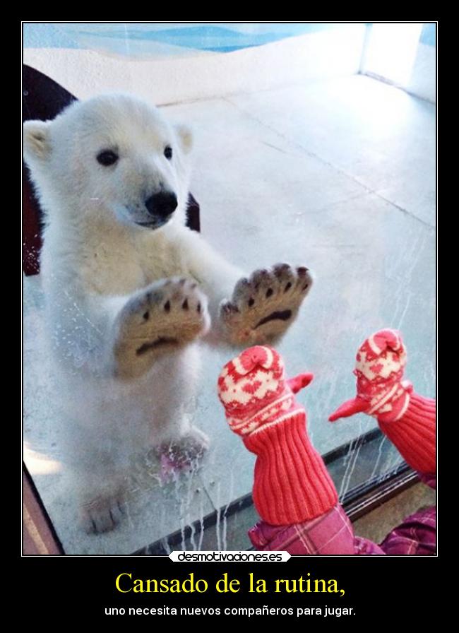 Cansado de la rutina, -