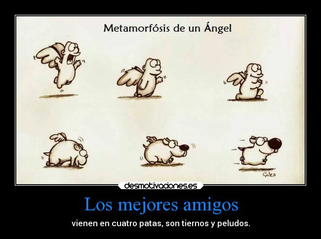 Los mejores amigos - vienen en cuatro patas, son tiernos y peludos.