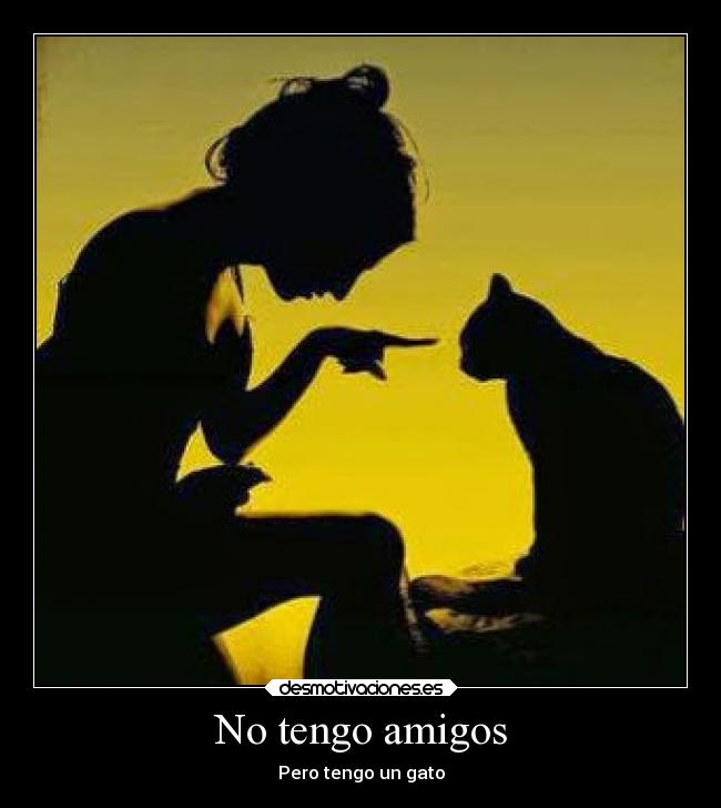 carteles amigos gatos soledad problemas motivaciones fail amistad animales gato desmotivaciones