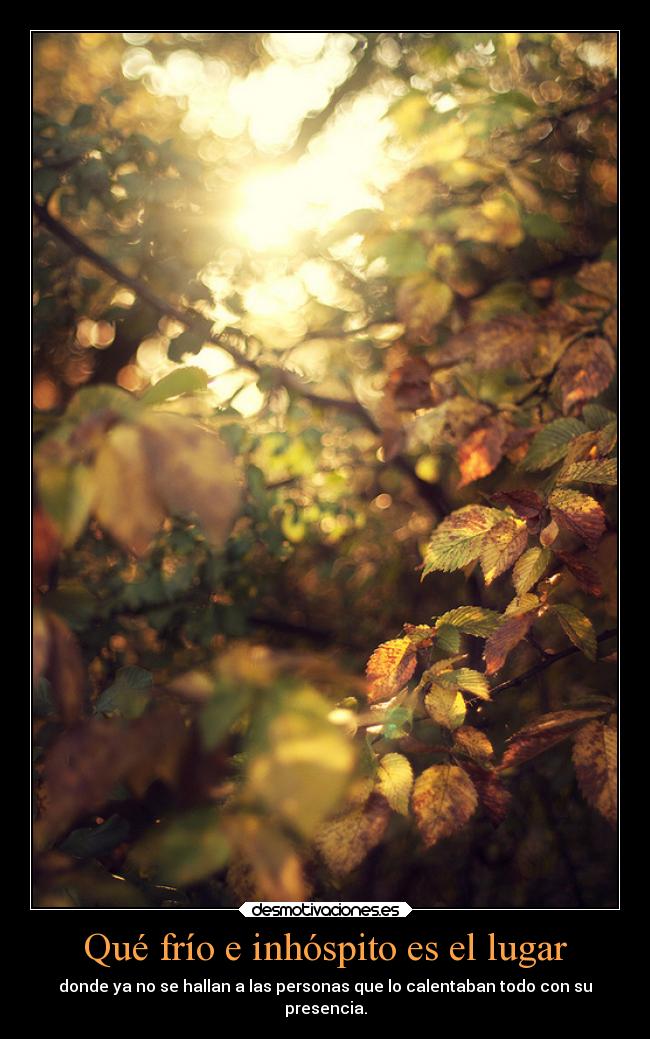 carteles amistad amigos cartel dedicado telyg randy desmotivaciones