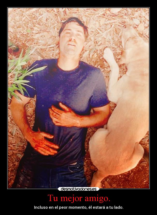 Tu mejor amigo. - Incluso en el peor momento, él estará a tu lado.