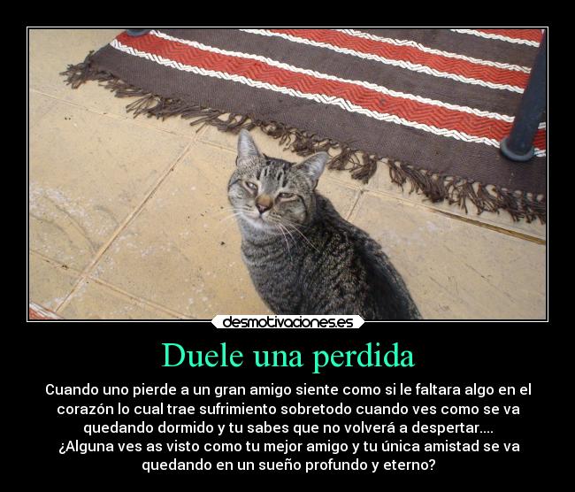 carteles amistad desmotivaciones