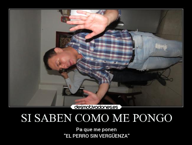 carteles amistad sin verguenza desmotivaciones