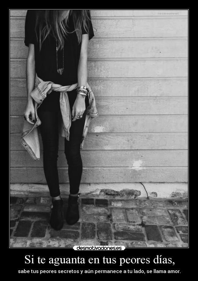 carteles amor animales noalmaltrato cursilada desmotivaciones