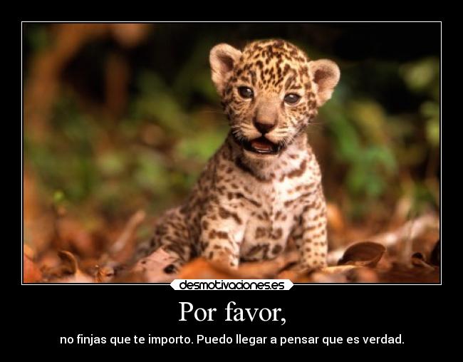 Por favor, - no finjas que te importo. Puedo llegar a pensar que es verdad.