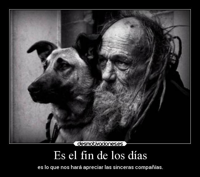 carteles amor arte alternativo argentina ciruja perro calle pobre tango rap criollo homless linyera desmotivaciones