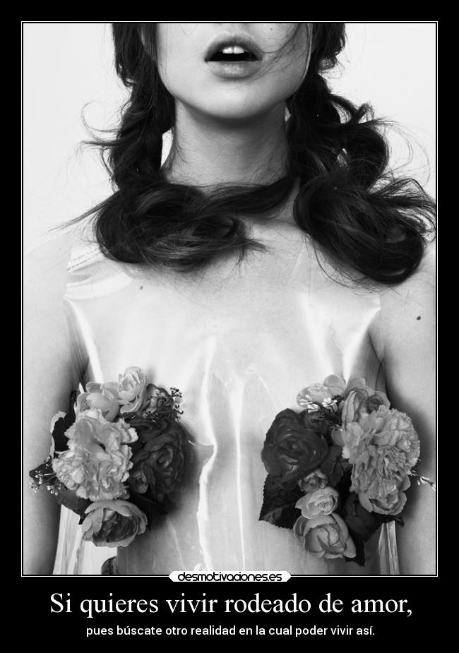 carteles amor debilidad demonsoflight mierdaymasmierda midnightorchestra desmotivaciones