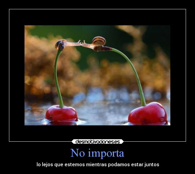 No importa - 