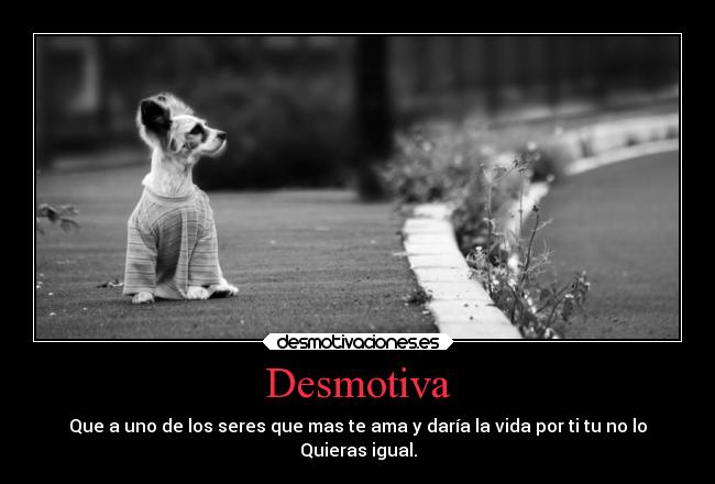 Desmotiva - Que a uno de los seres que mas te ama y daría la vida por ti tu no lo
Quieras igual.