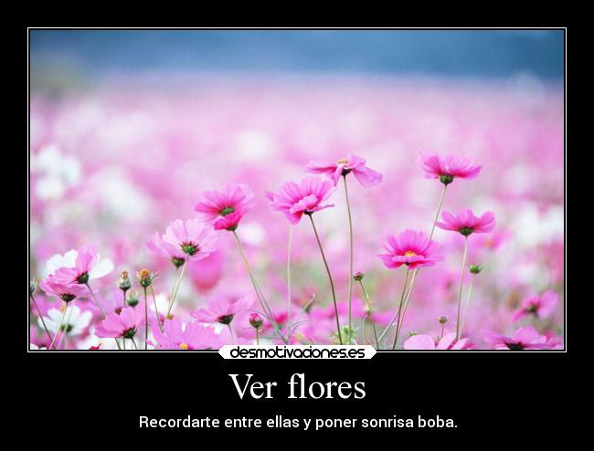 Ver flores - Recordarte entre ellas y poner sonrisa boba.