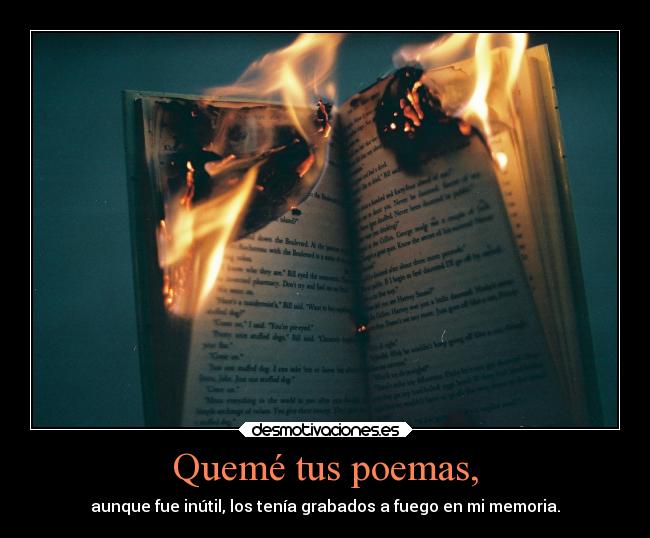 carteles amor dolor fuego putodedo estahinchao poemas joder putamierdi desmotivaciones