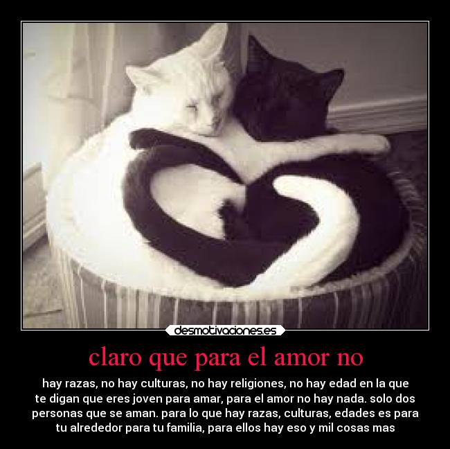 claro que para el amor no - hay razas, no hay culturas, no hay religiones, no hay edad en la que
te digan que eres joven para amar, para el amor no hay nada. solo dos
personas que se aman. para lo que hay razas, culturas, edades es para
tu alrededor para tu familia, para ellos hay eso y mil cosas mas