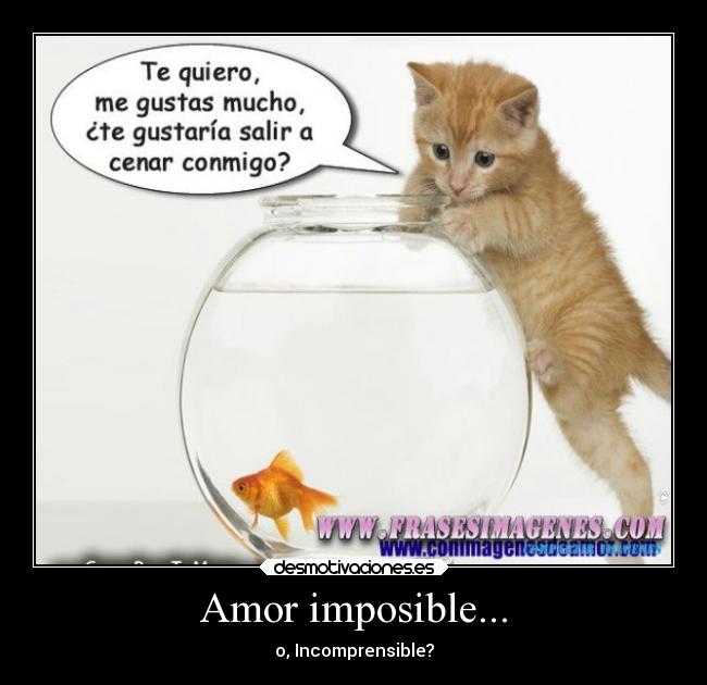 carteles amor imposible amor animales desmotivaciones
