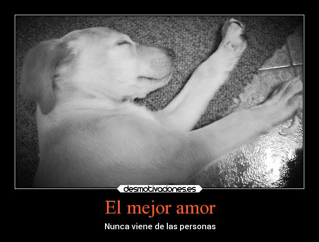 El mejor amor - Nunca viene de las personas