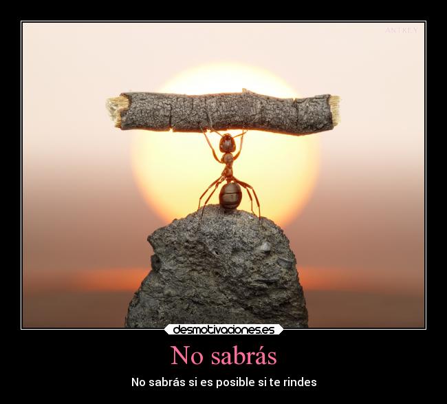 No sabrás - No sabrás si es posible si te rindes