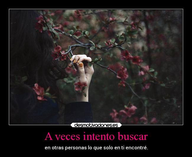 carteles amor vida buscar encontrar havanaswaggie desmotivaciones