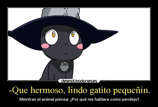 carteles animales anime manga otaku cosplay gato mientras animal piensa hablar pendejo lindos desmotivaciones