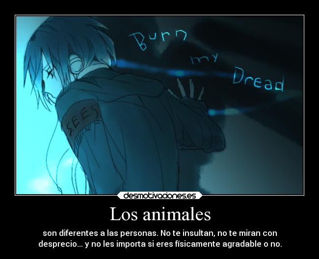 Los animales - son diferentes a las personas. No te insultan, no te miran con
desprecio... y no les importa si eres físicamente agradable o no.
