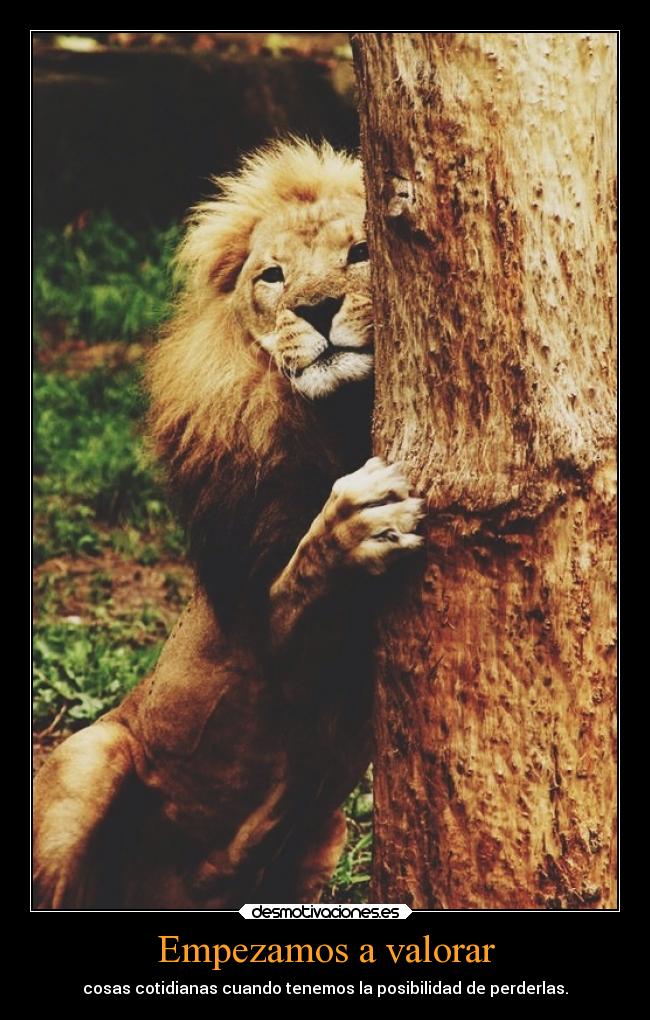 Empezamos a valorar -