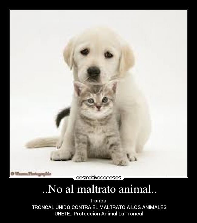 ..No al maltrato animal.. - 
