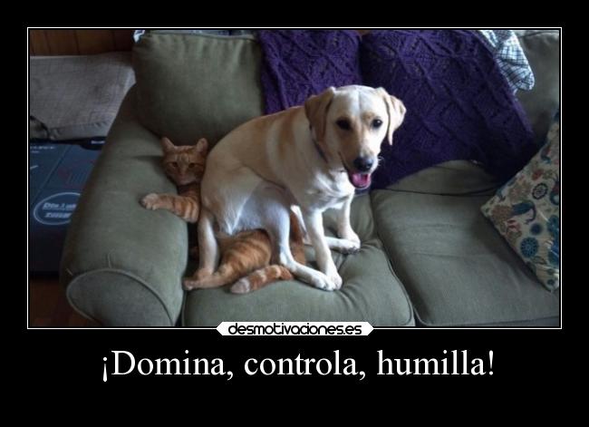 ¡Domina, controla, humilla! -