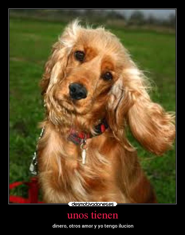 carteles animales desmotivaciones