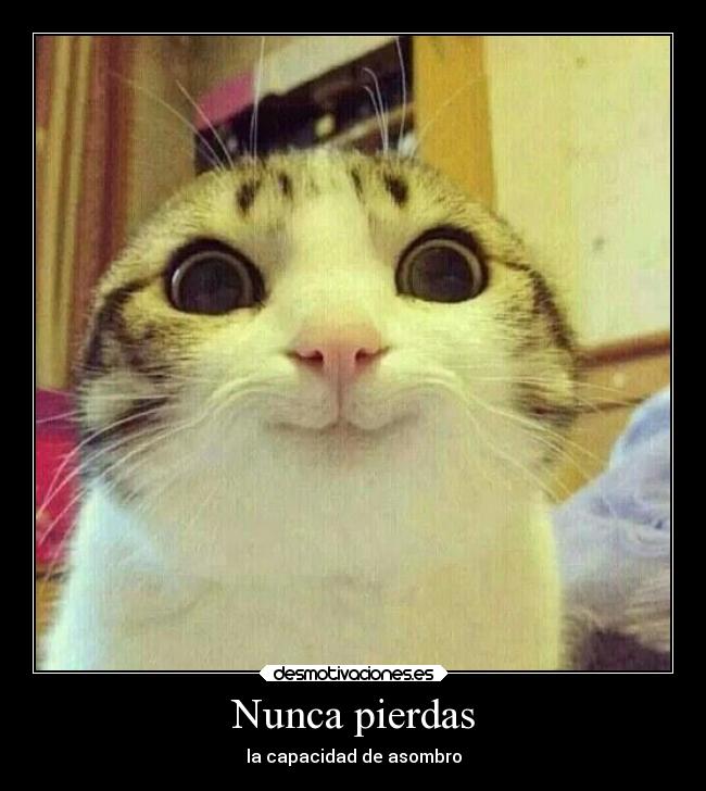 Nunca pierdas - la capacidad de asombro