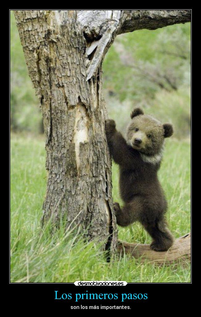 Los primeros pasos - son los más importantes.