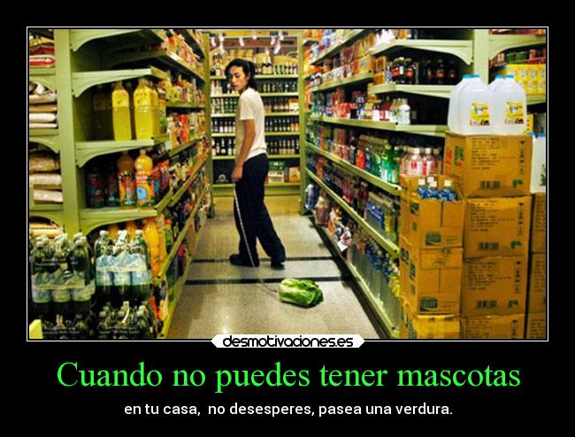Cuando no puedes tener mascotas - en tu casa,  no desesperes, pasea una verdura.