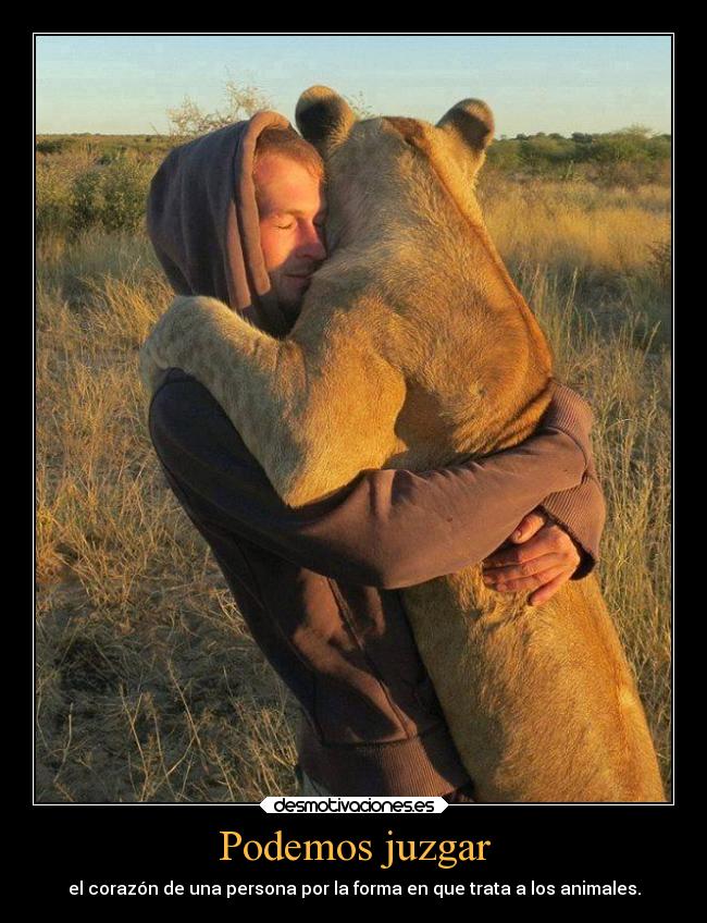 Podemos juzgar - el corazón de una persona por la forma en que trata a los animales.