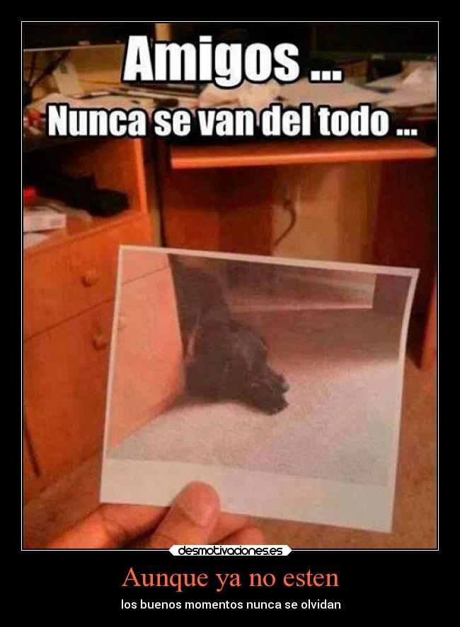 Aunque ya no esten - los buenos momentos nunca se olvidan