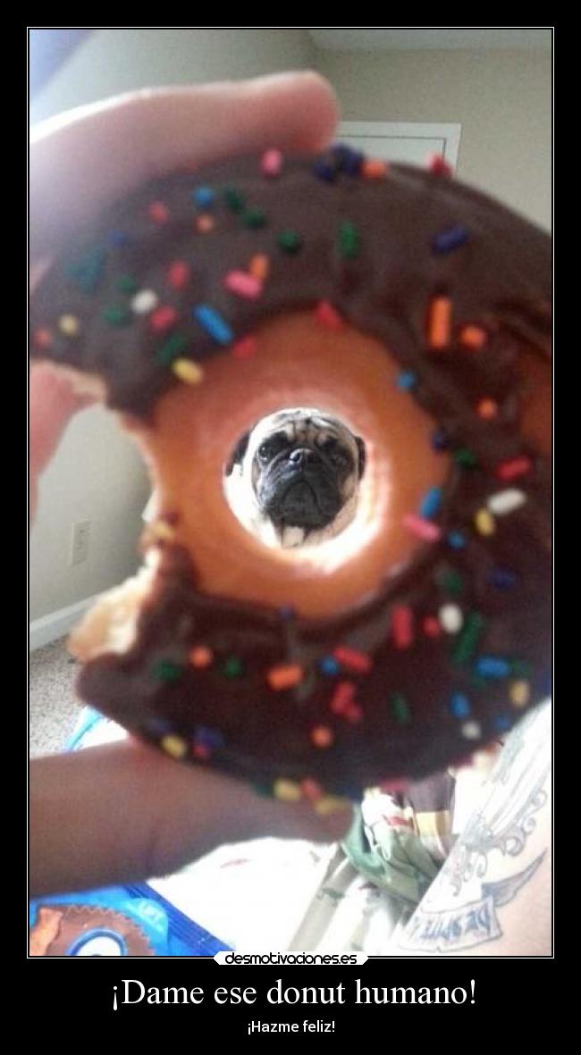 ¡Dame ese donut humano! - 