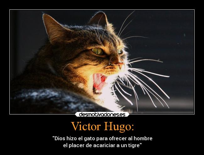 Victor Hugo: - Dios hizo el gato para ofrecer al hombre
el placer de acariciar a un tigre