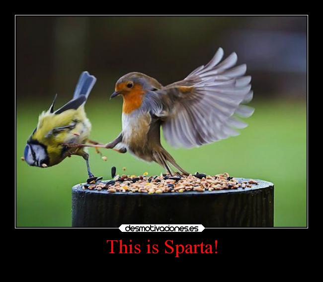 This is Sparta! - 