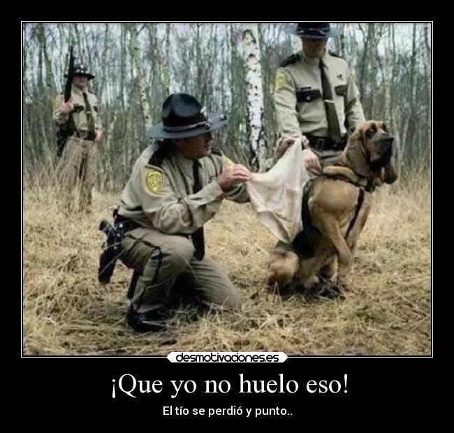 carteles animales humor perro desmotivaciones