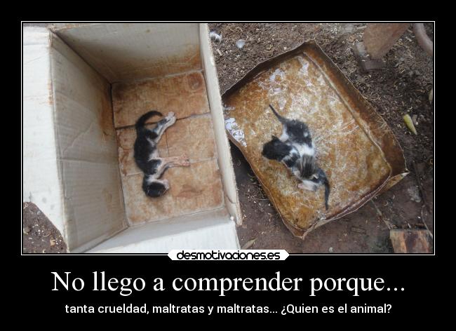No llego a comprender porque... - tanta crueldad, maltratas y maltratas... ¿Quien es el animal?
