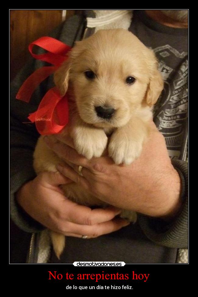 No te arrepientas hoy - de lo que un día te hizo feliz.