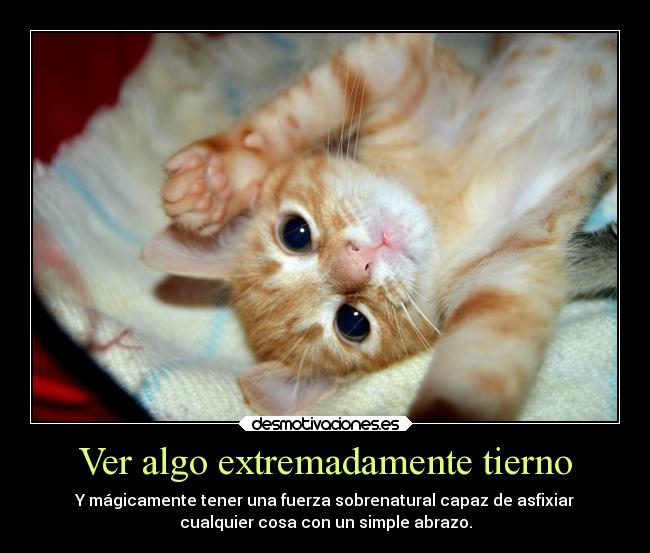 Ver algo extremadamente tierno -