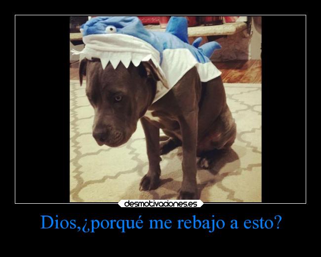 Dios,¿porqué me rebajo a esto? - 