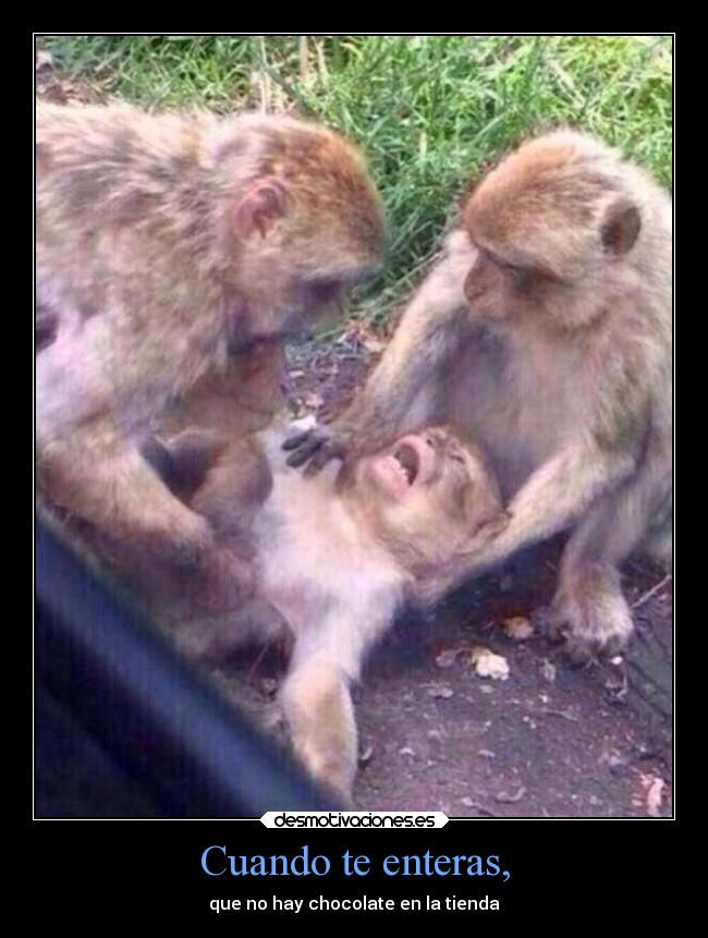 Cuando te enteras, - 