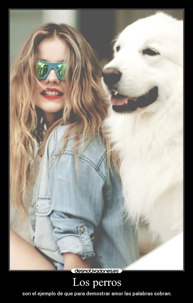 Los perros - 