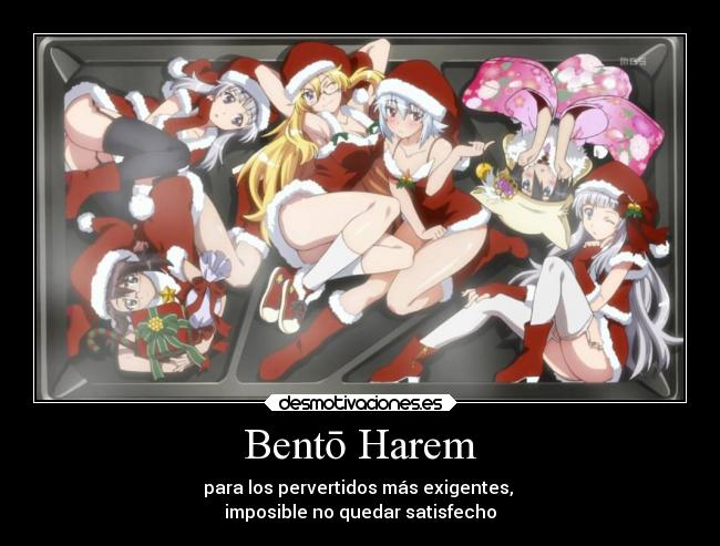 Bentō Harem - para los pervertidos más exigentes, 
imposible no quedar satisfecho