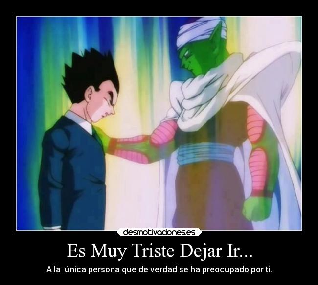 carteles anime desmotivaciones