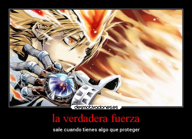 carteles anime katekyo hitman reborn tsuna fuerza valentia proteger desmotivaciones