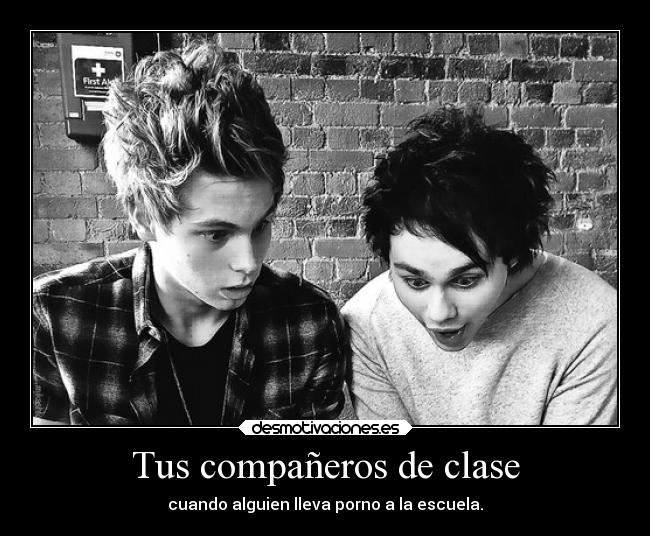 Tus compañeros de clase - 