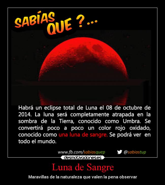 Luna de Sangre - Maravillas de la naturaleza que valen la pena observar