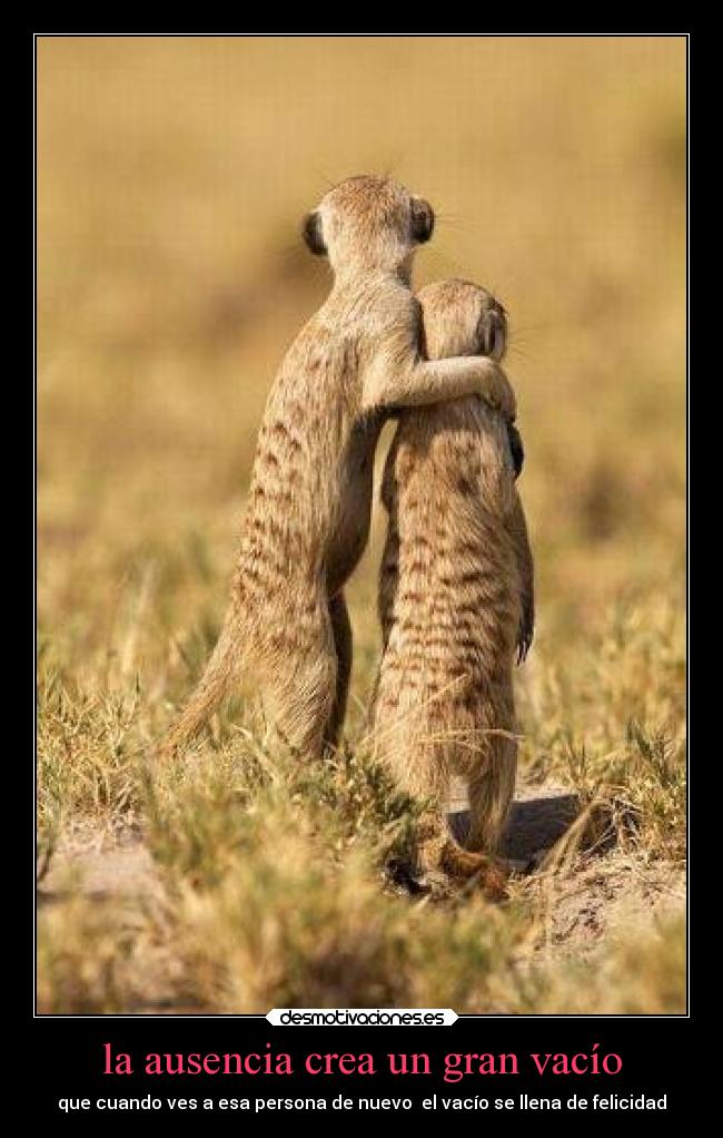 la ausencia crea un gran vacío - que cuando ves a esa persona de nuevo  el vacío se llena de felicidad